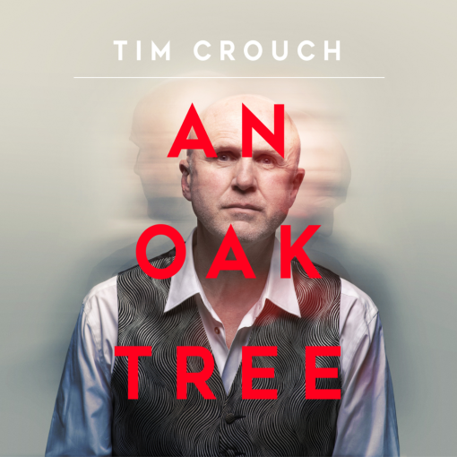 An Oak Tree An Oak Tree